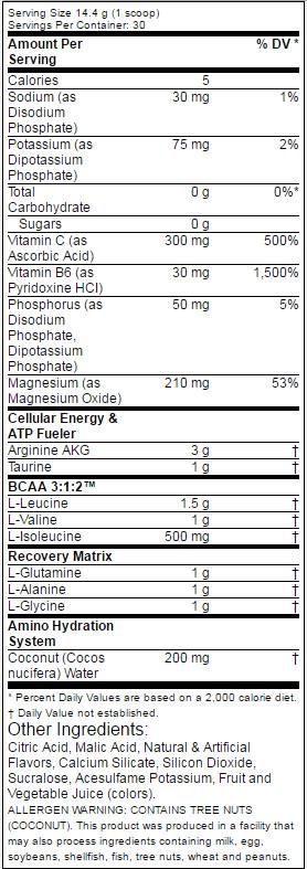 Amino 1 Hydrate + Recover 432 grams