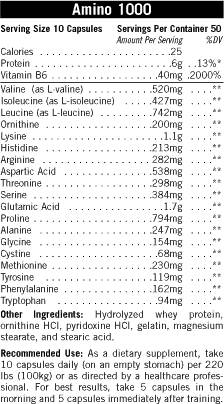 Amino 1000 500 cápsulas