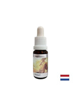 Helps to understand the meaning of money - Angel Essence No. 1, drops 15 ml