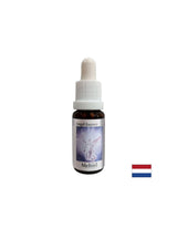 For finding the right words - Essence Mechiel (Angel Essence No. 16), drops 15 ml