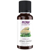 Atlas Cedar Oil | 100% Pure Cedrus Atlantica - 30 ml