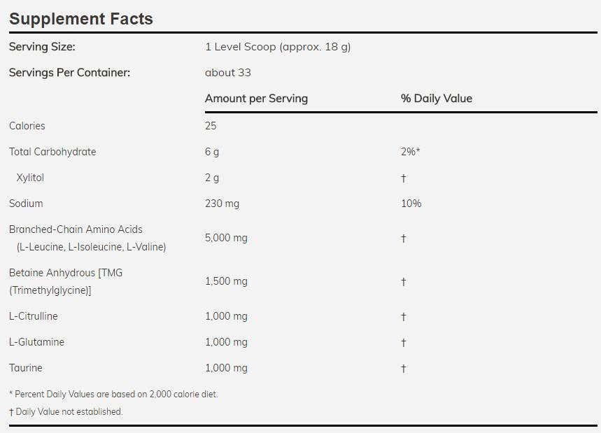 BCAA Big 6 Powder - 600 gram