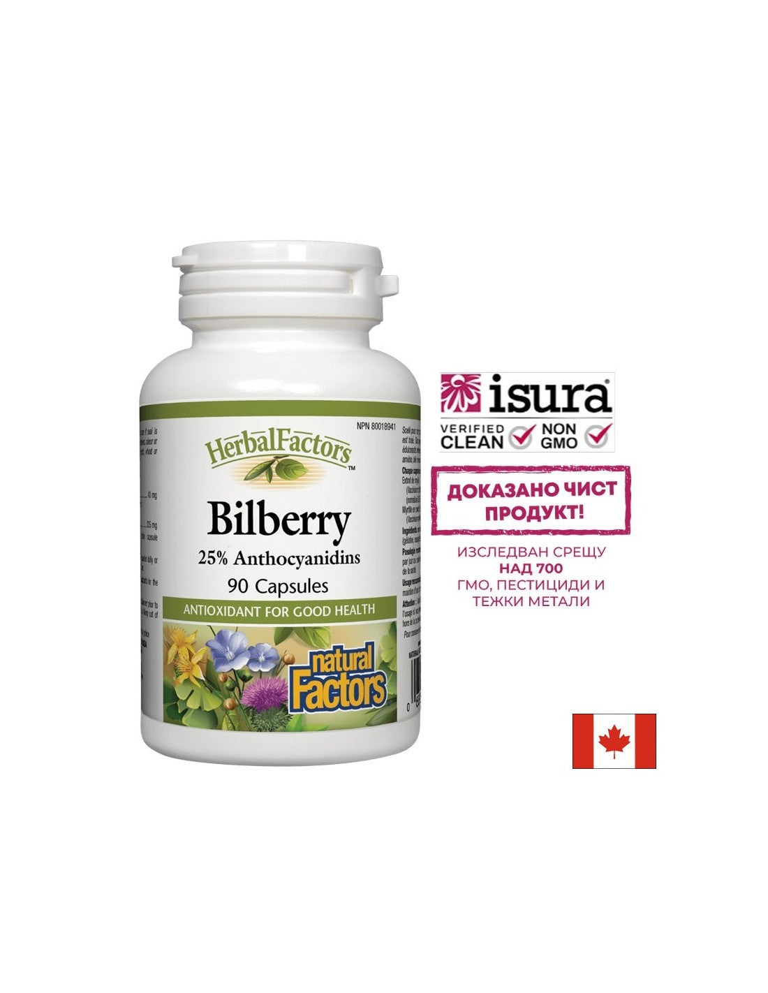 Bilberry 345 mg - 90 kapsulės