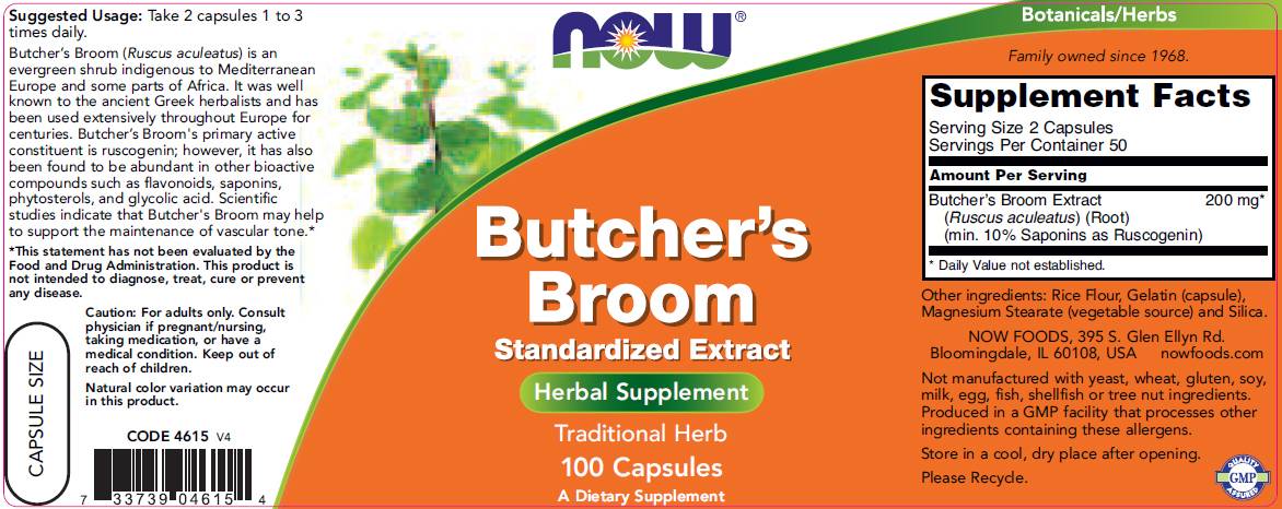 Butcher's Broom - 100 tobolek