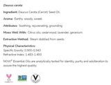 Carrot Seed Oil | 100% Pure Daucus Carota - 30 ml