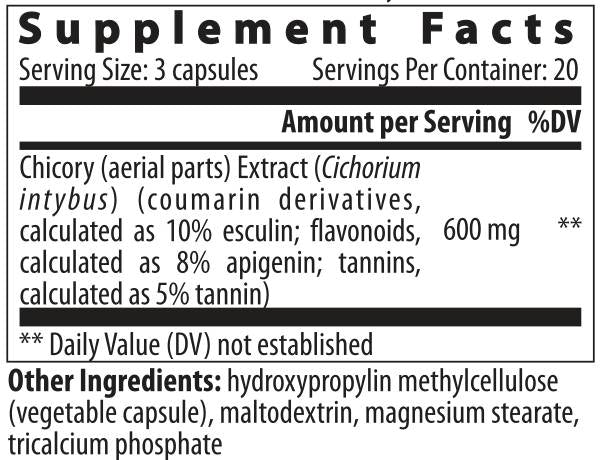 Cichorium - 60 capsules