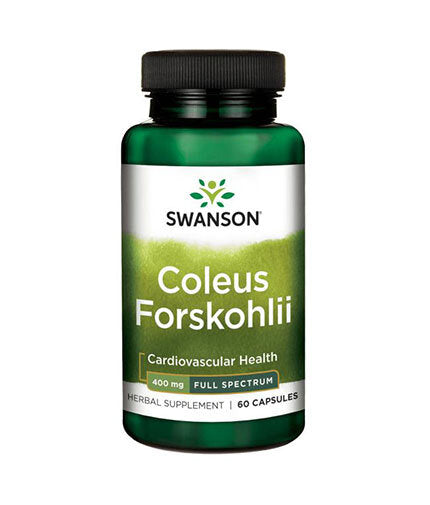 Coleus forskohlii/forskolin 400 mg - 60 cápsulas