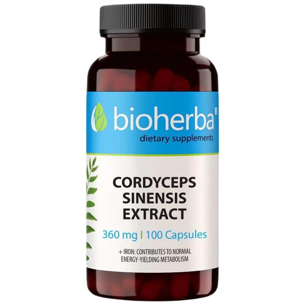 Cordycersps Sinensis 360 mg - 100 Kapselen