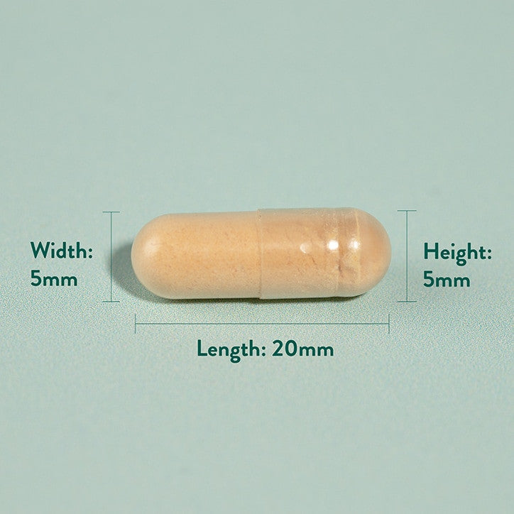 Milk thistle extract (Milk Thistle) 60 capsules HOLLAND & BARRETT