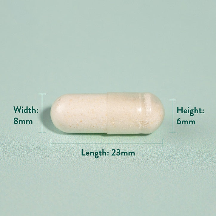 Maltodextrin / 100% Pure - 3000 grams