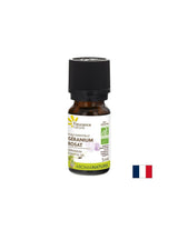 Geranium eterinio aliejaus, bio, 5 ml
