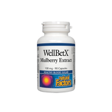 Wellbetx Mulberry Extrait 100 mg - 90 capsules