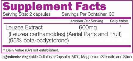 Ecdysterone - 60 capsules