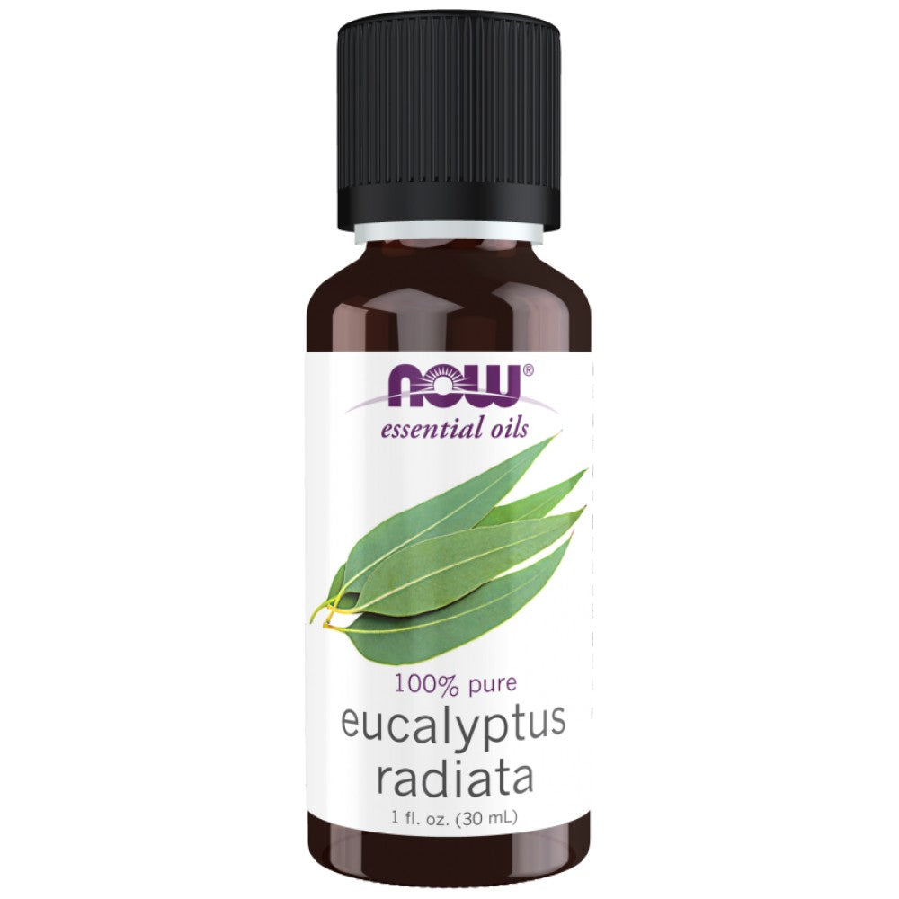 Óleo de eucalipto radiata | Eucalipto 100% puro radiata - 30 ml