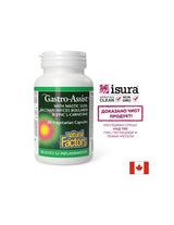 Mastic, Zinc Carnosine and Chamomile for a Calm Stomach - Gastro Assist™, 60 capsules