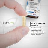 Glukosamin chondroitin /180 kapslí, 90 dní/ s kurkumou, zázvorem a vitamínem C <tc>Nutravita</tc>