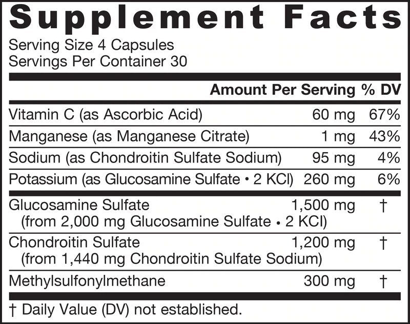 Glucosamine Chondroitin MSM - Glucosamine Chondroitin MSM 120 capsules