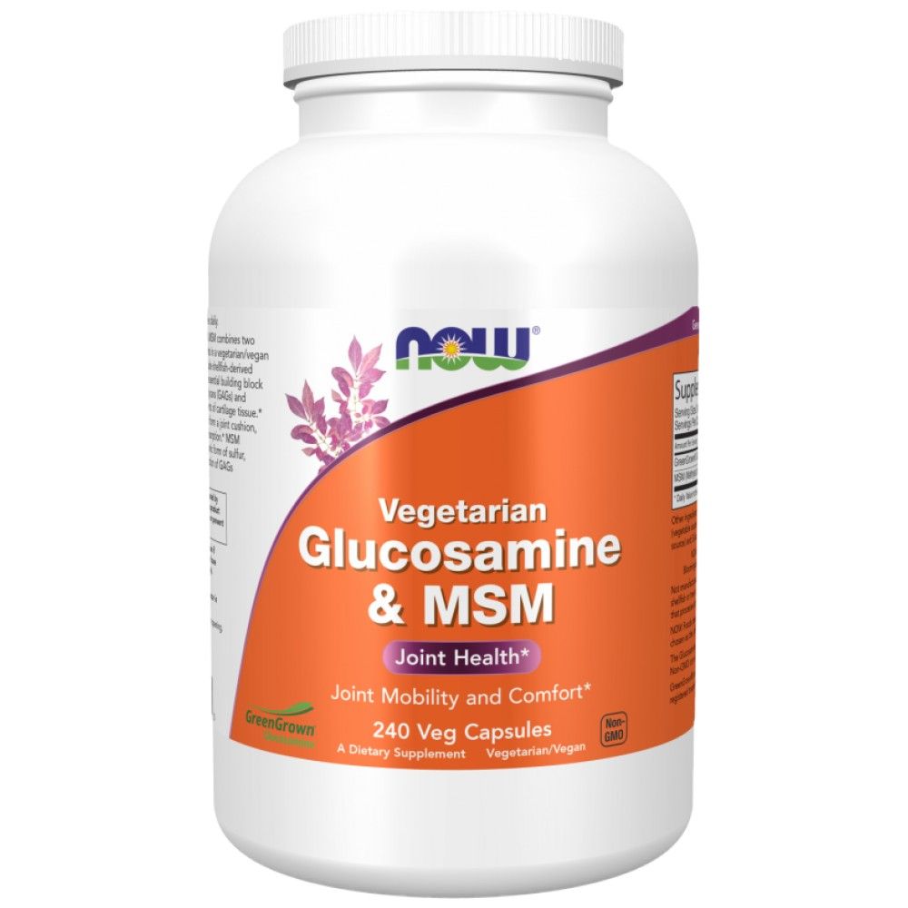 Glucosamine & MSM - 240 capsules