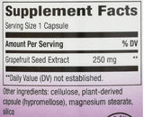 Grapefruit Seed 250 mg - 60 Kapselen