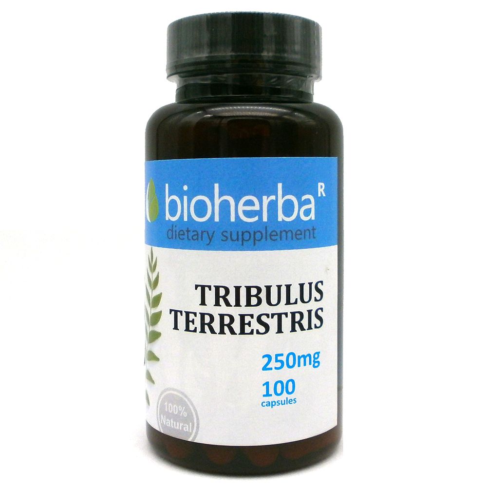 Tribulus terrestris 250 mg - 100 cápsulas