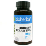 Tribulus Terrestris 250 mg - 100 капсули