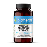 „Tribulus Terrestris“ ištrauka 300 mg - 60 kapsulių