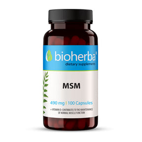 MSM 490 mg - 100 capsules - Nutra Best Europe