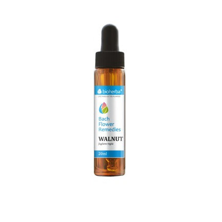 Bach fällt Walnuss 20 ml