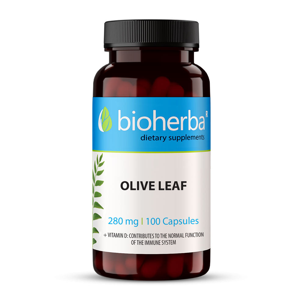 Olive Blat 280 mg - 100 Kapselen