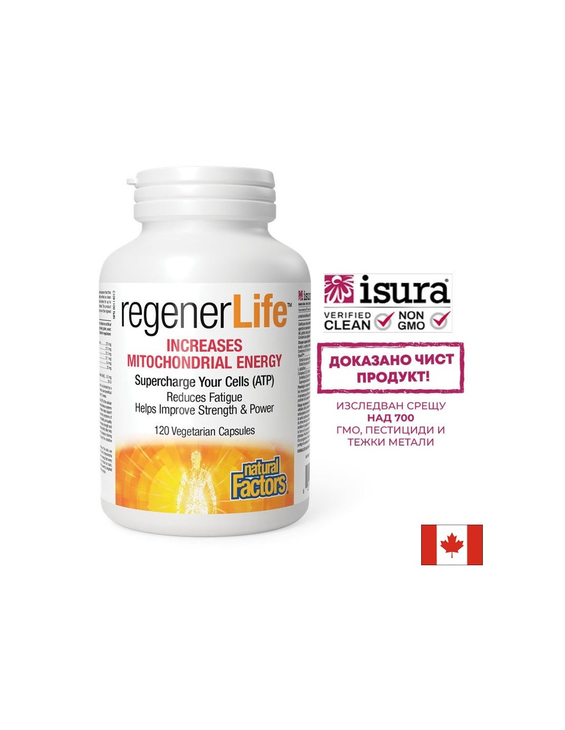Regener Life™ Increases Mitochondrial Energy - 120 capsules