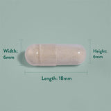 Korean & Siberian Ginseng Complex - 120 capsules