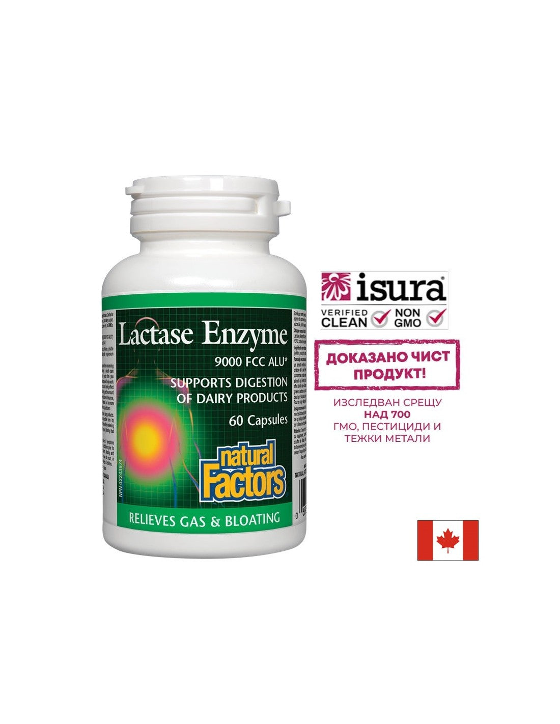 Enzima lactasa 250 mg - 60 cápsulas