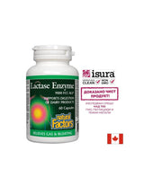 Enzima lactasa 250 mg - 60 cápsulas