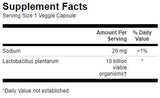 Lactobacillus plantarum / l plantarum - 30 cápsulas