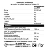 Nattystack | with Turkesterone - 120 capsules