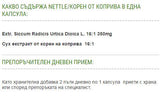 Nettle - 60 capsules