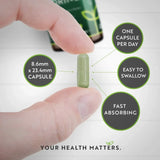 Moringa orgánica - Bio Moringa 600 mg 120 Cápsulas veganas