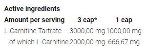 L -Carnitine 3000 Caps - 120 capsules