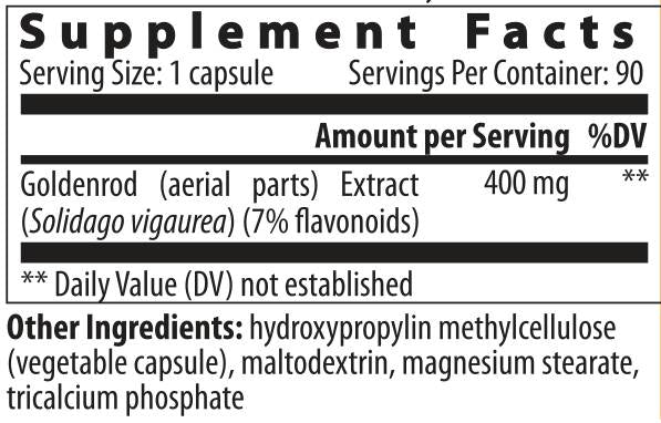 Solidago - 24 capsules