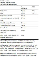 Wsparcie testowe | z Ashwagandha i Shilajit - 120 kapsułek