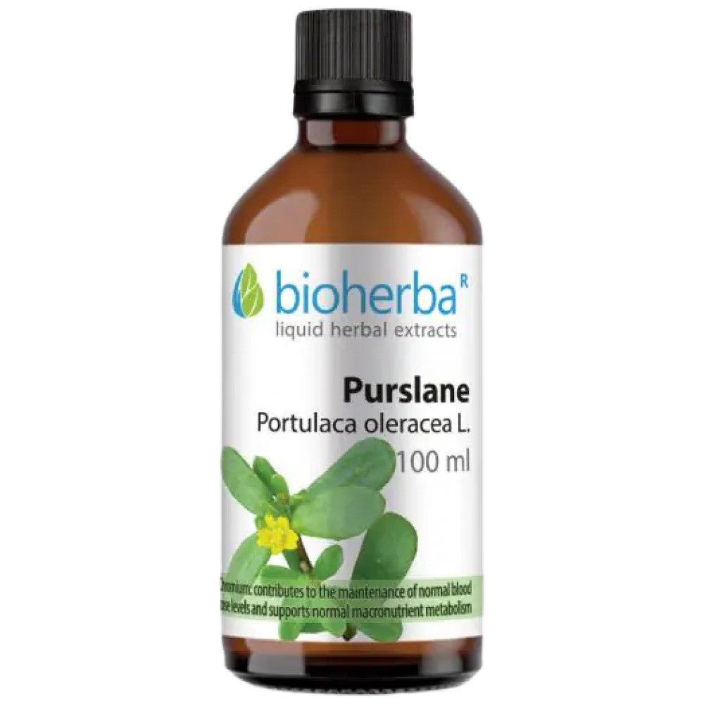 Tincture Portulaca oleracea (purslane) - 100 ml
