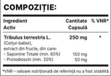 Tribul 250mg | Extrakt z Tribulus Terrestris - 60 tobolek