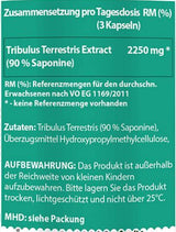 Tribulus Terrestris | 90% saponinų - 90 kapsulių