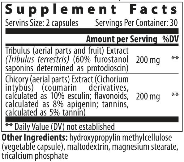 Tribulus Cichorium - 60 capsules