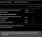 Turkesterone 1200 | with Beta-Ecdysterone & AstraGin - 120 capsules