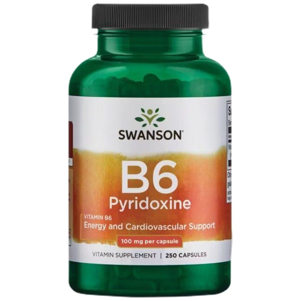 Vitamin B6 100 mg / Pyridoxine - 250 capsules