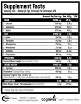 X Neuro | EAA, BCAA & NOTROPIC - 292.5 gram