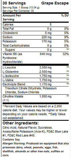 Xtend BCAAs / Intra-Workout Catalyst! / New Look - 435 grams