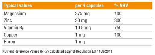 Visioun FRESTIALS / 60 VAPAPS