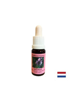 Activates courage and self-healing - Essence Prishnitsa No. 25, drops 15 ml